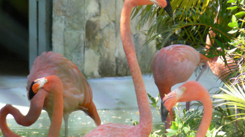 Riviera Maya