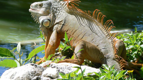 Riviera Maya
