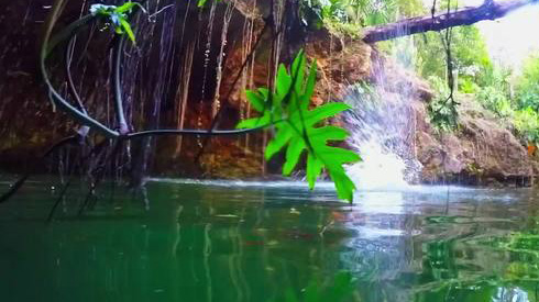 Riviera Maya Xenote Tour