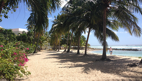Beach