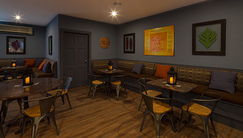 Lazy Mongoose Pub