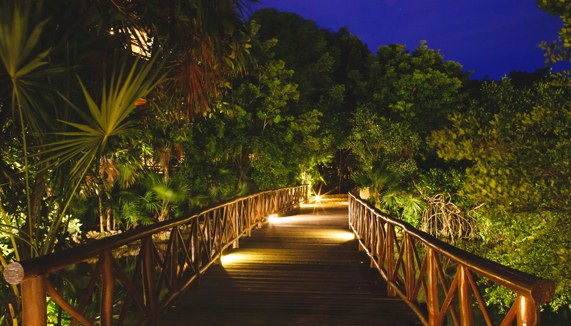 Bridge at night