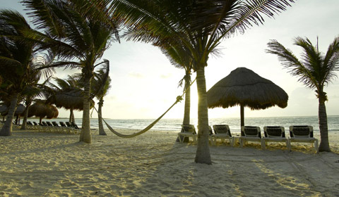 Beach Lounge