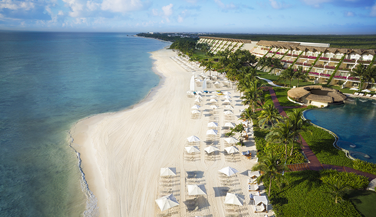 Aerial beach view