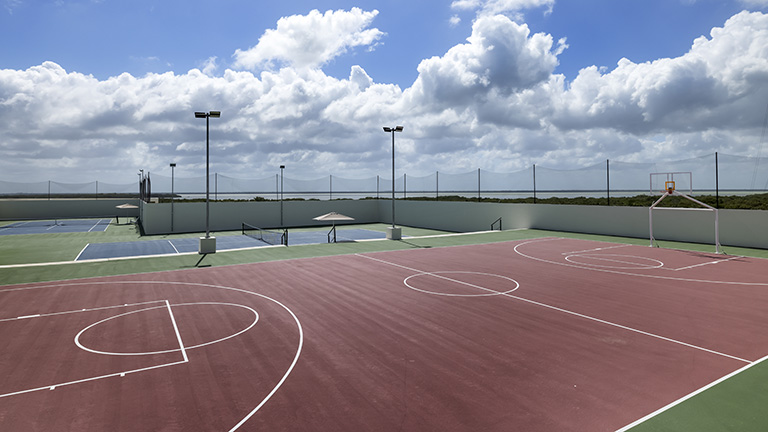 Multi-use court