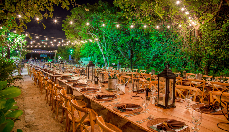 Jungle Venue ($)