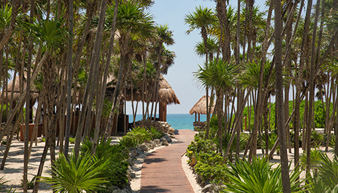 Beach walkway