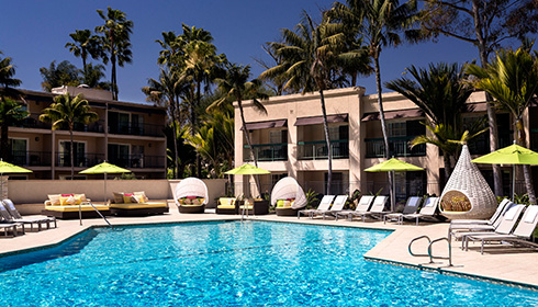 Indulge Pool