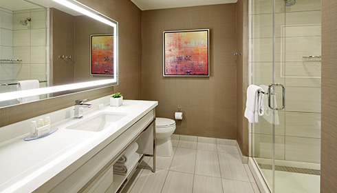 Deluxe 1 Bedroom Suite - bathroom
