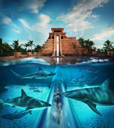 Mayan Temple