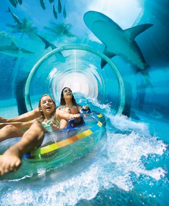 Serpent Slide