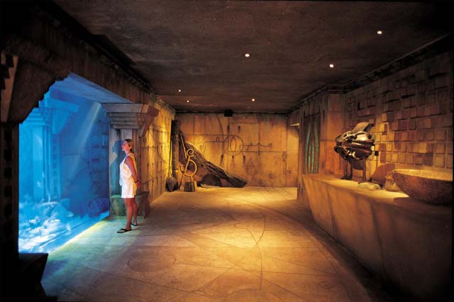 The Dig experience
