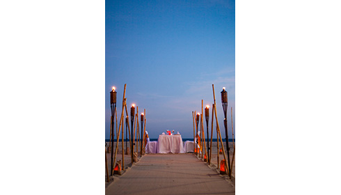 Beach Dinner