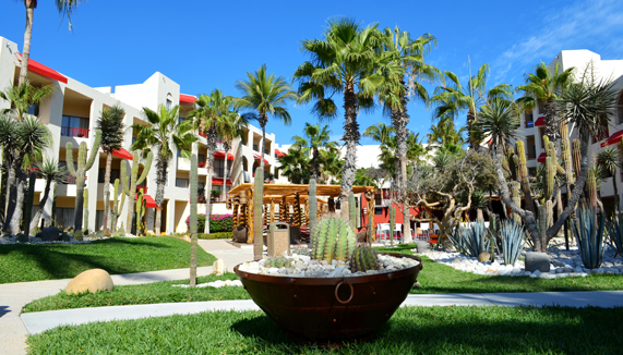 Courtyard